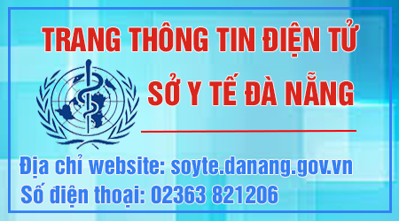 logoSYT
